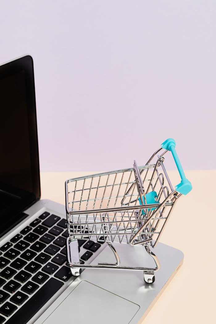 our-services-1 Mini shopping cart on a laptop symbolizes online shopping and e-commerce themes.